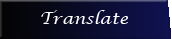 Translate Button
